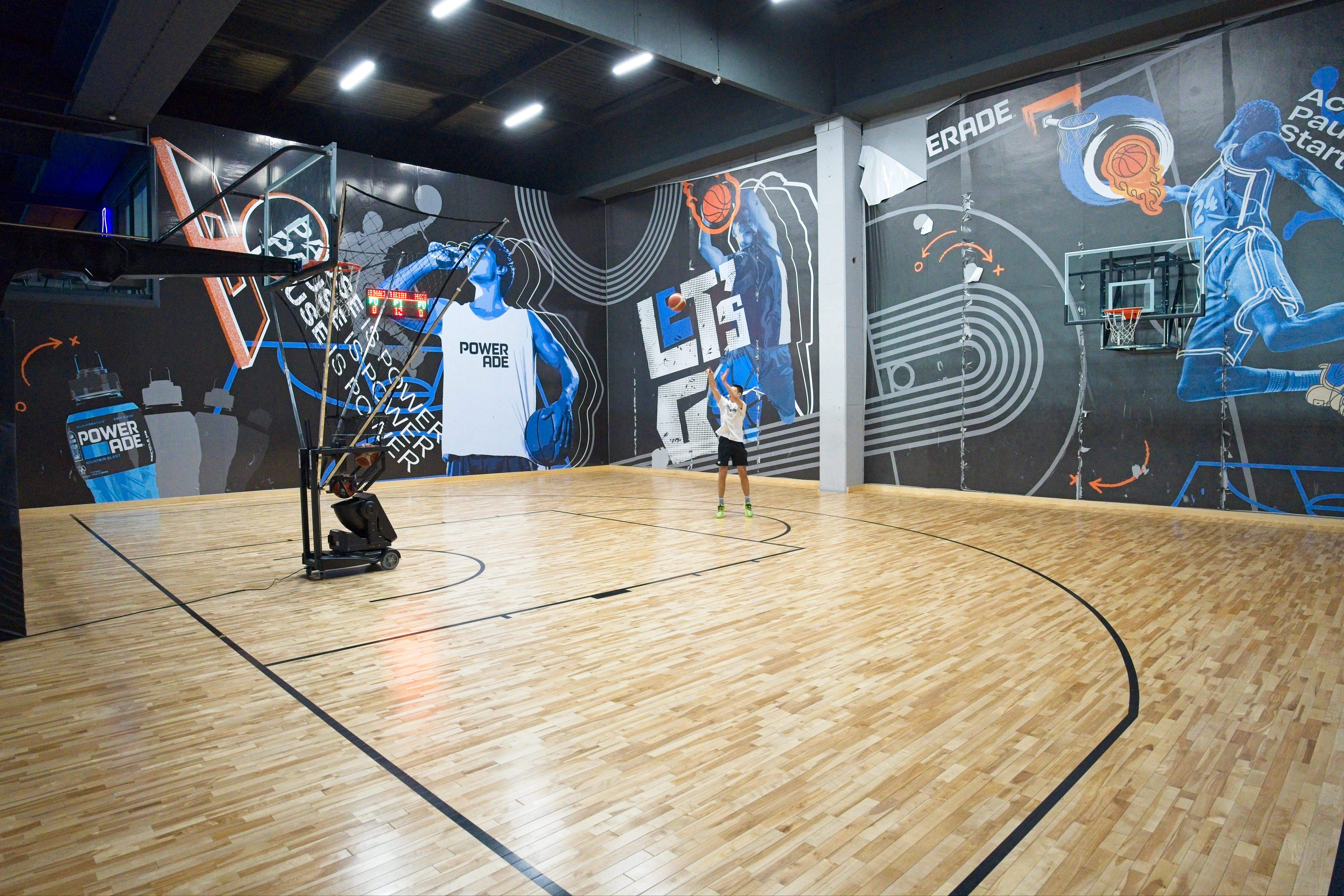 Basket Court
